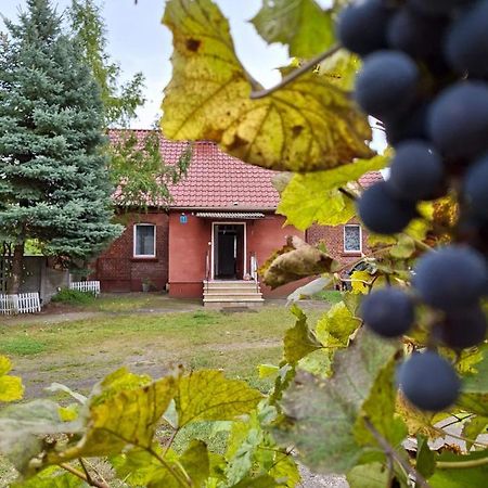 Domek Przy Maja Милич Экстерьер фото